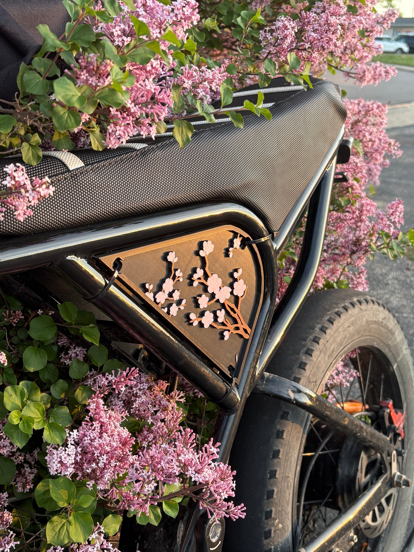 Cherry Blossom ridstar side plastics