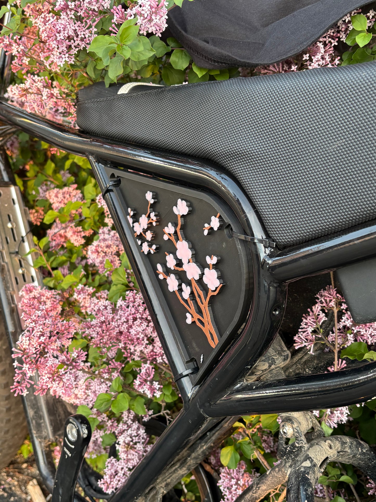 Cherry Blossom ridstar side plastics